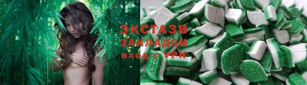 стаф Магас