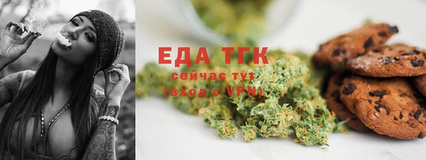 стаф Магас