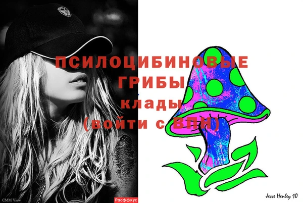 крисы Магадан