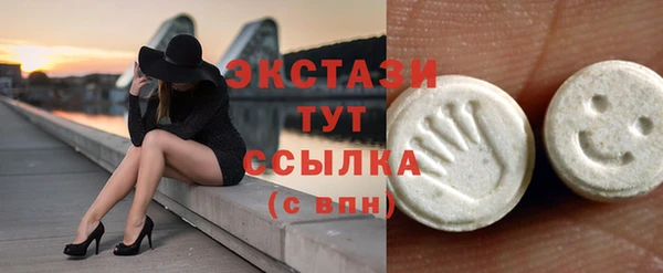 стаф Магас