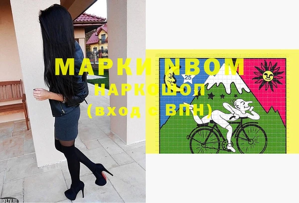 стаф Магас