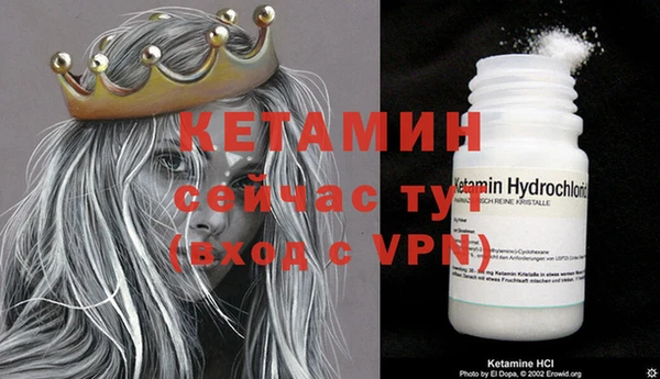 крисы Магадан
