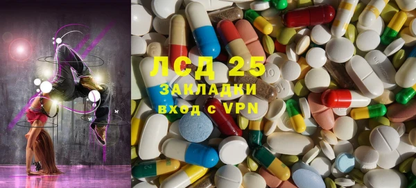 крисы Магадан