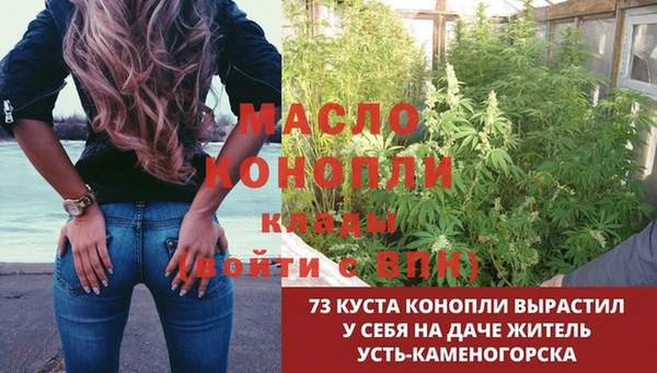 стаф Магас