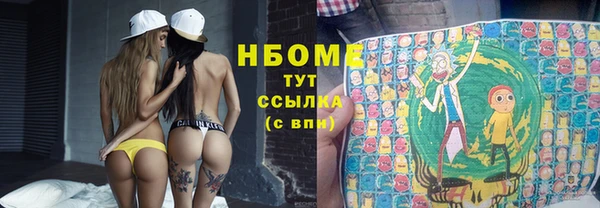 стаф Магас