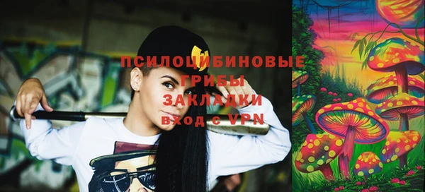 крисы Магадан