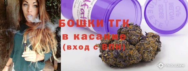 крисы Магадан