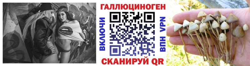 продажа наркотиков  Невельск  Псилоцибиновые грибы Cubensis 